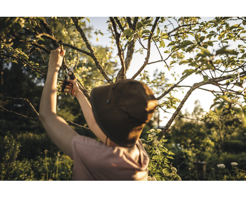 Eine Person mit Hut schneidet Äste eines Baumes mit einer Gartenschere.