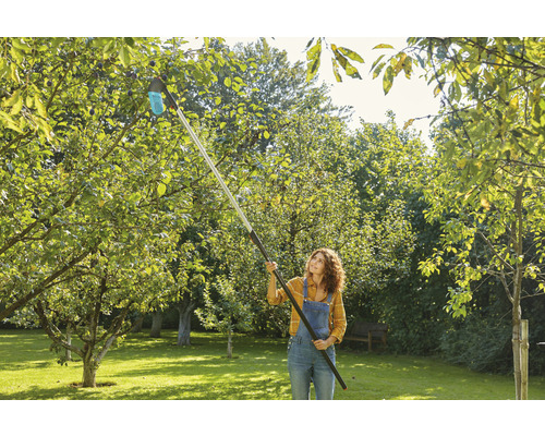 Une femme récolte des pommes avec un cueille-fruits dans un jardin.