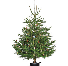 Sapin de Noël décoré avec bougies et ornements