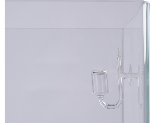 Glas-Diffusor zur CO2-Versorgung im Aquarium