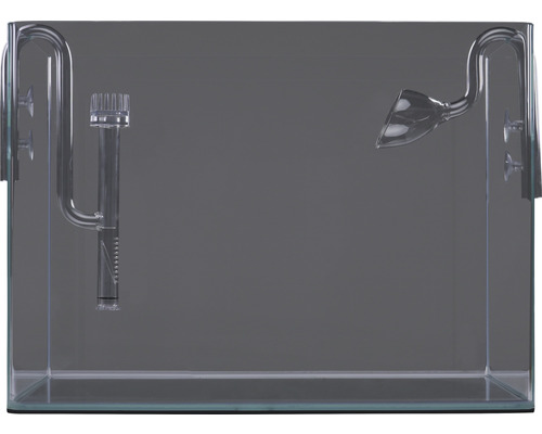 Aquarium avec verrerie pour arrivée et évacuation d''eau