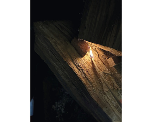 Brennholz wird mit einem Streichholz entzündet.