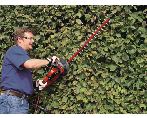 Mann schneidet Hecke mit einer Heckenschere