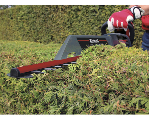 Einhell Heckenschere beim Heckenschnitt