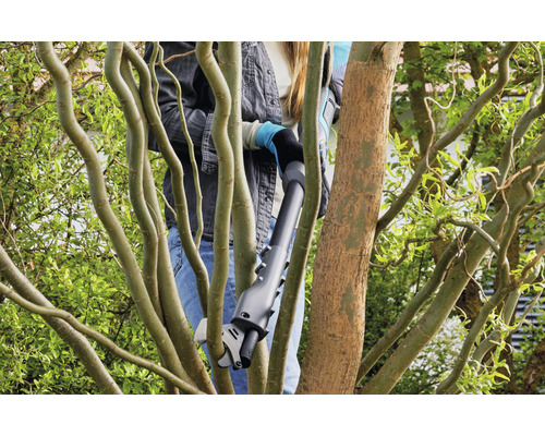 Frau schneidet Äste mit einer Astschere