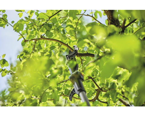 Élagueur en utilisation sur un arbre