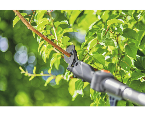 Élagueuse coupant une branche avec des feuilles.