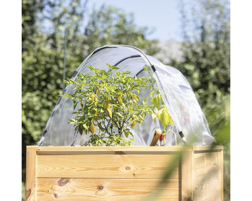 Hochbeet mit Frühbeetaufsatz und Pflanzen