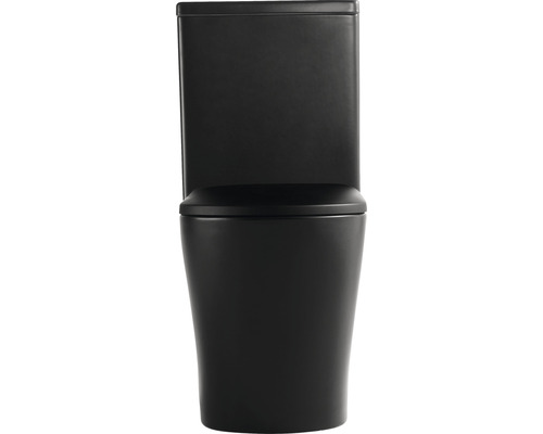 Toilette sur pied noire pour la salle de bain