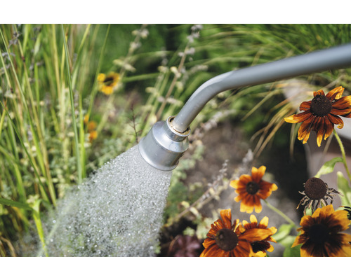 Arrosoir arrosant des plantes dans le jardin.