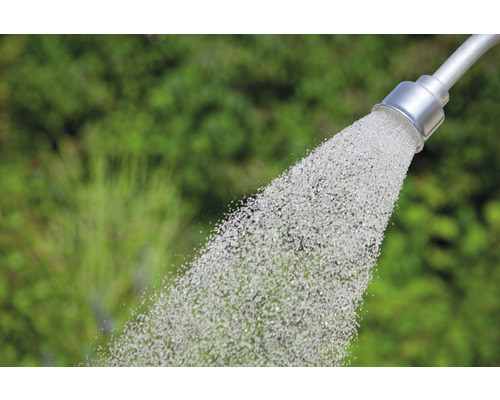 Arrosage avec un tuyau d''arrosage