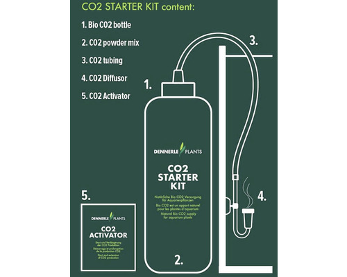 Kit de démarrage CO2 Dennerle Plants avec bouteille de CO2, poudre de CO2, tuyau, diffuseur et activateur