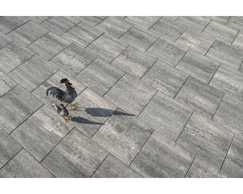 Dalle de terrasse en béton iStone Pure graphite 50 x 50 x 4 cm