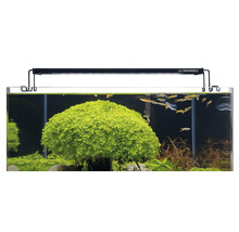 Aquariumbeleuchtung LED DENNERLE Trocal Flat 40 13,5 W 6500 K 40 cm für Aquarien von 45 - 50 cm