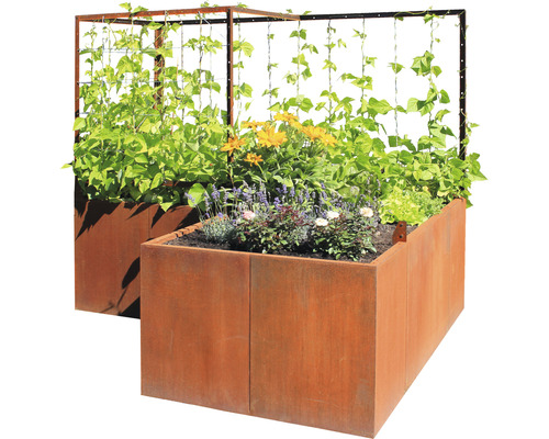Kit de jardinière surélevée Palatino Urban avec tuteur 300 x 100 x 183 cm marron avec câble à pinces