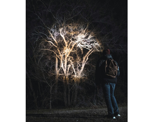 Person mit Rucksack beleuchtet Baum im Dunkeln