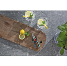 Gartenschere mit Zitrone und Getränken auf Holzbrett