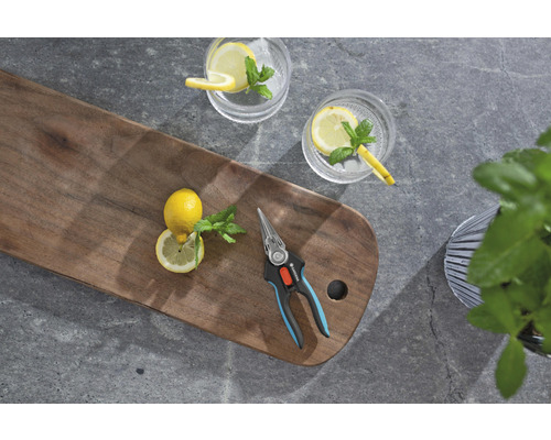 Sécateur avec citron et boissons sur planche en bois