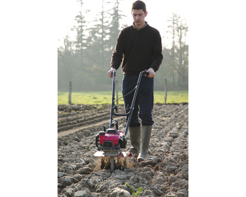 Ein Mann verwendet eine Motorhacke zur Bodenbearbeitung auf einem Feld.