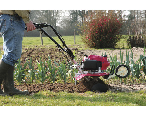 Eine Gartenfräse im Einsatz zum Auflockern des Bodens in einem Gemüsegarten.
