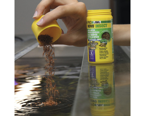 JBL Novo Insect Fischfutter wird in ein Aquarium gegeben