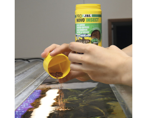 JBL Novo Insect Fischfutter wird in ein Aquarium gegeben