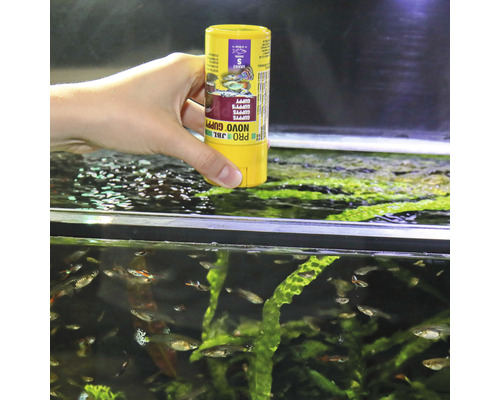 JBL Pro Novo Guppy Flockenfutter für Zierfische im Aquarium