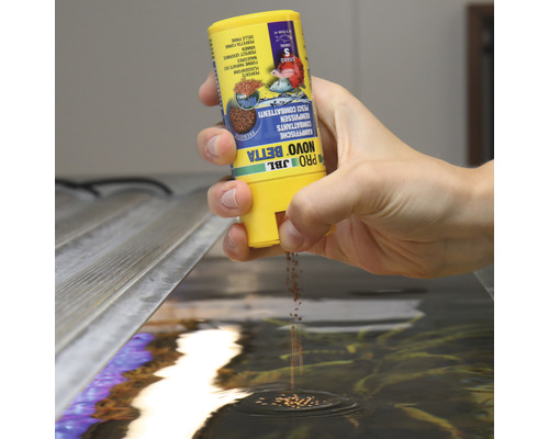 Hand füttert Kampffischfutter von JBL in ein Aquarium