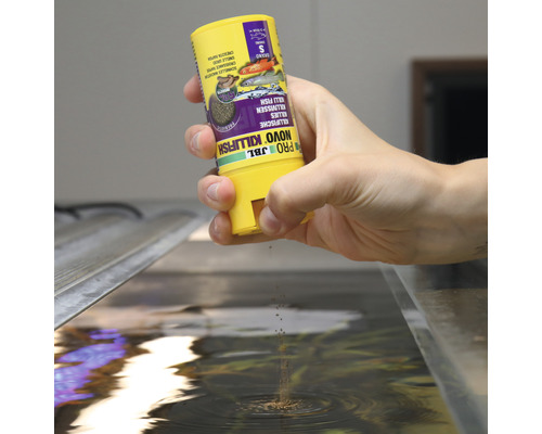 Hand füttert Fische mit JBL Novo Killifish Futter