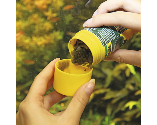 Eine Person schüttet Flockenfutter aus einem Behälter in einen Deckel vor einem Aquarium.