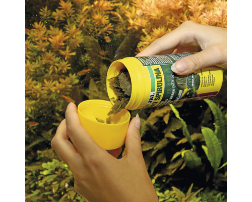 Fischfutter wird aus einer Dose in einen Deckel geschüttet.