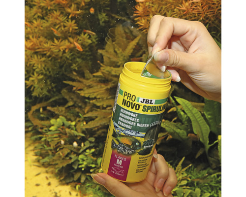 JBL Novo Spirulina Fischfutter für Pflanzenfresser