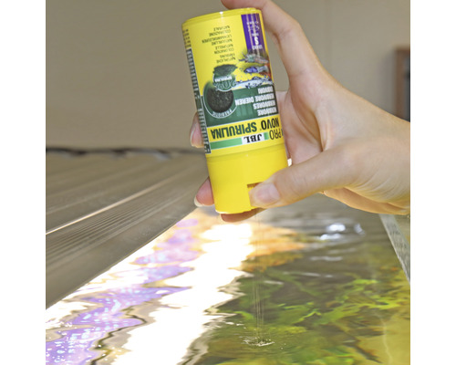 Hand füttert Fische mit JBL Novo Spirulina Futter