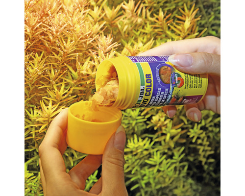 Person schüttet JBL Novo Color Flockenfutter in Deckel vor Pflanzen