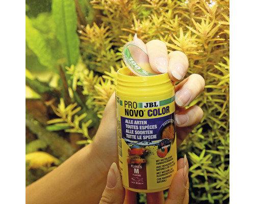 JBL Novo Color Fischfutter für alle Fischarten