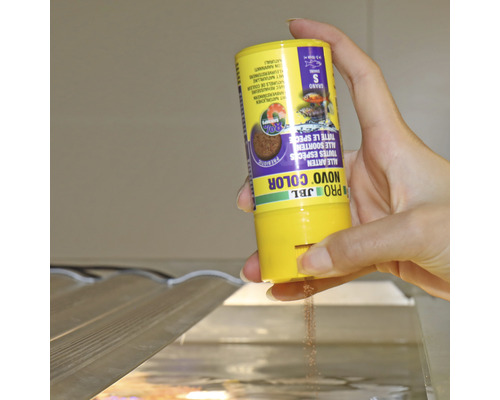 JBL Novo Color Fischfutter wird über ein Aquarium gegeben