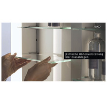 Spiegelschrank KEUCO Royal Match 100 x 15 x 70 cm silber 2-türig LED IP 20 Unterputz