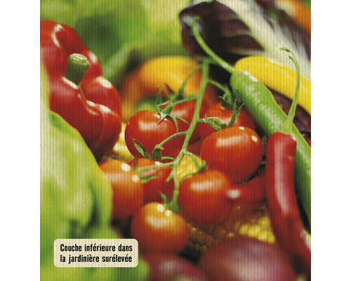 Sélection de légumes avec des tomates, des poivrons et de la salade