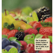 Terreau pour fruits et baies FloraSelf Nature® 25 l-thumb-3