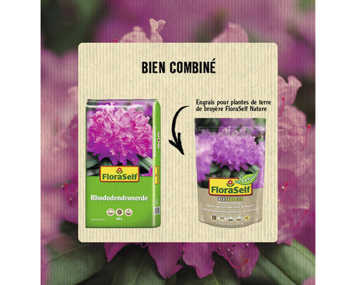 Illustration de terre de rhododendrons FloraSelf et d''engrais pour plantes de terre de bruyère
