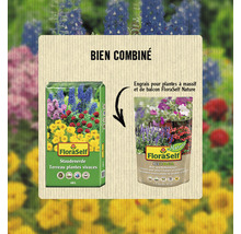 FloraSelf Terreau pour plantes vivaces et Engrais pour massifs et balcons FloraSelf Nature