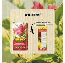 Terreau pour plantes d''intérieur FloraSelf et bâtonnets d''engrais pour plantes vertes et ornementales