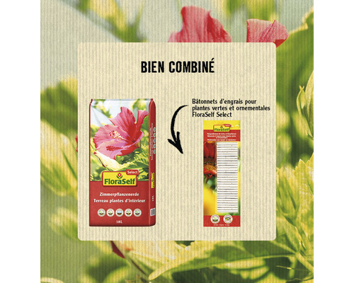 Terreau pour plantes d''intérieur FloraSelf et bâtonnets d''engrais pour plantes vertes et ornementales