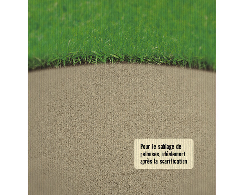 Pelouse recouverte de sable après scarification.