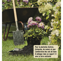 Scène avec pelle, brouette et plante dans le jardin