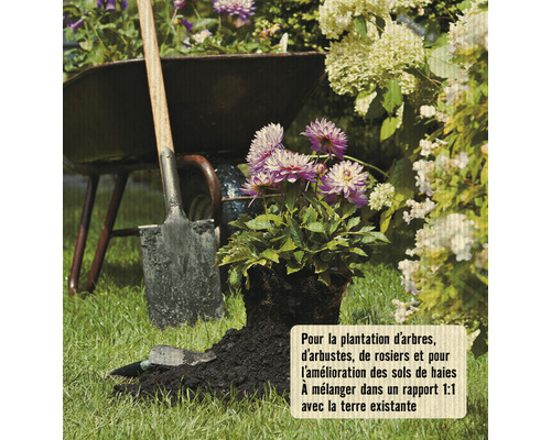 Scène avec pelle, brouette et plante dans le jardin