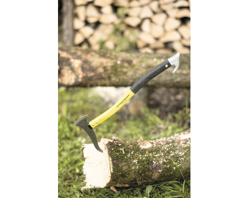 Ochsenkopf Sappie mit Holzstamm