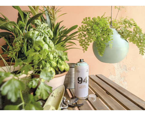 Scène avec des plantes, jardinière suspendue et bombe de peinture sur une table en bois.