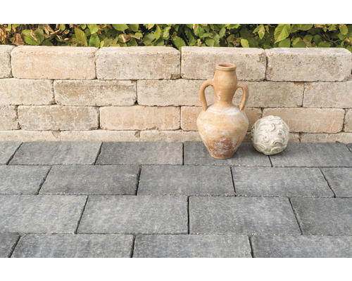 Jardin avec pavés, mur et décoration