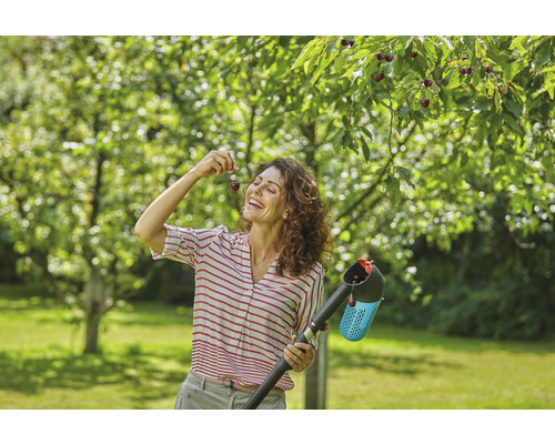 Femme cueillant des cerises avec un cueille-fruits dans le jardin